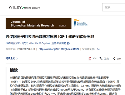 英文文獻(xiàn)（BI-200SM）Delivery of plasmid IGF‐1 to chondrocytes via cationized gelatin nanoparticles