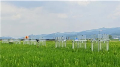 Picarro G2508 在不同有機(jī)肥料處理技術(shù)對(duì)溫室氣體排放影響研究中的應(yīng)用